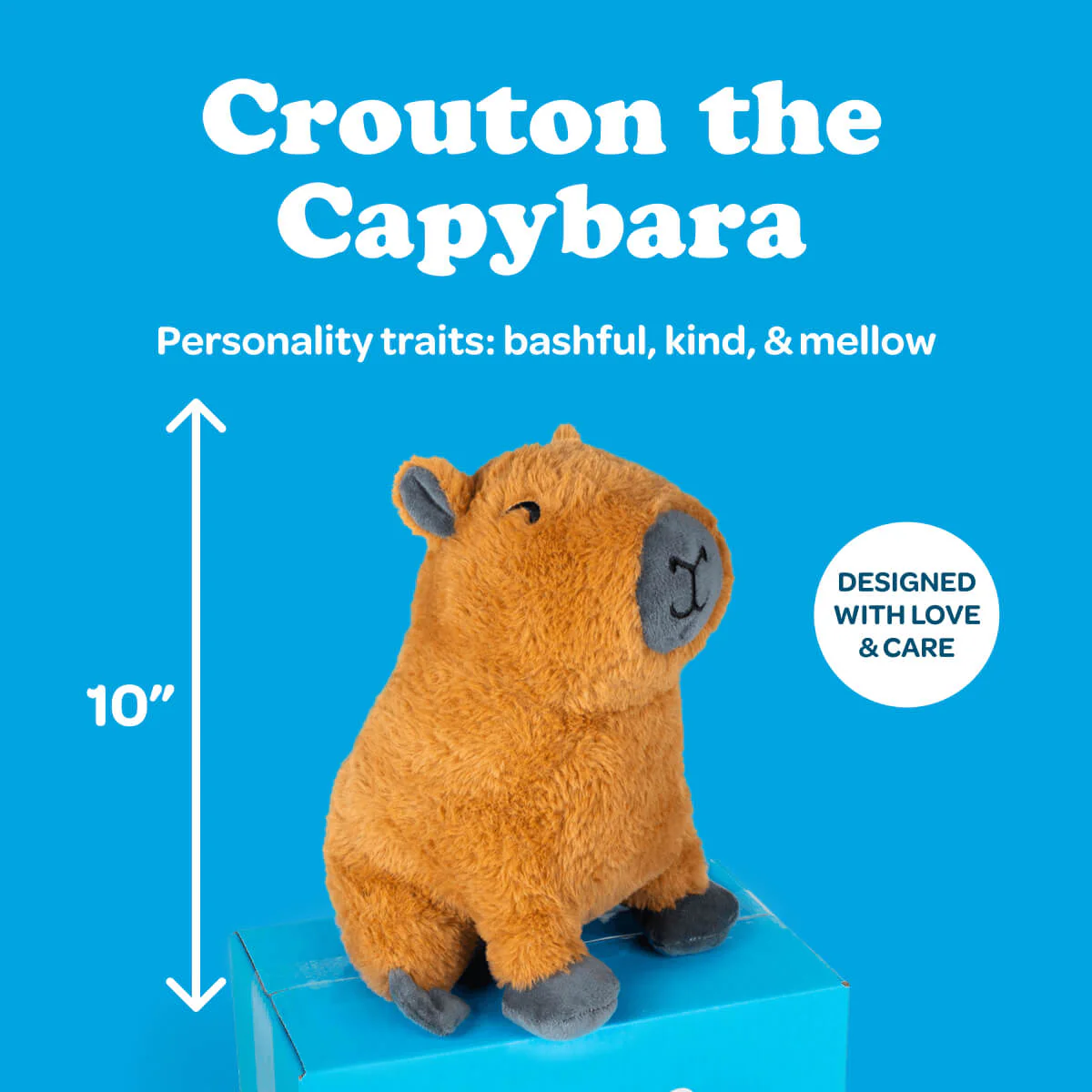 Crouton the Capybara 🍊 - Image 4