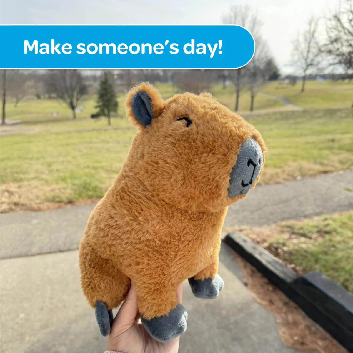 Crouton the Capybara 🍊 - Image 7