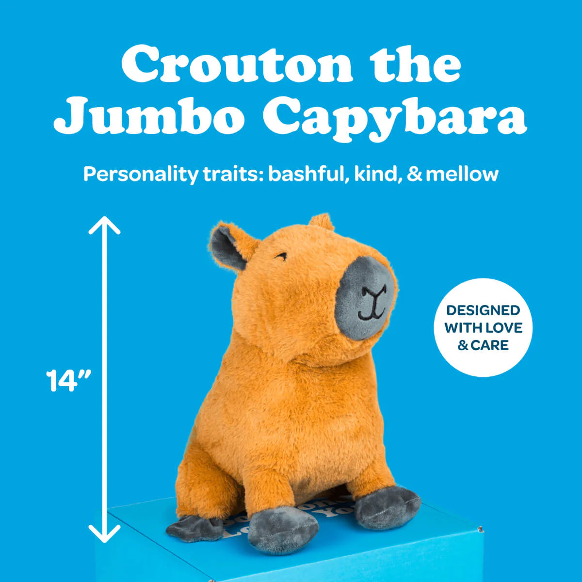 Crouton the Jumbo Capybara ๐ - Image 5