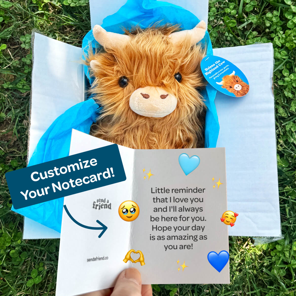 Helena the Highland Cow ๐๏ธ๐ฎ - Image 4