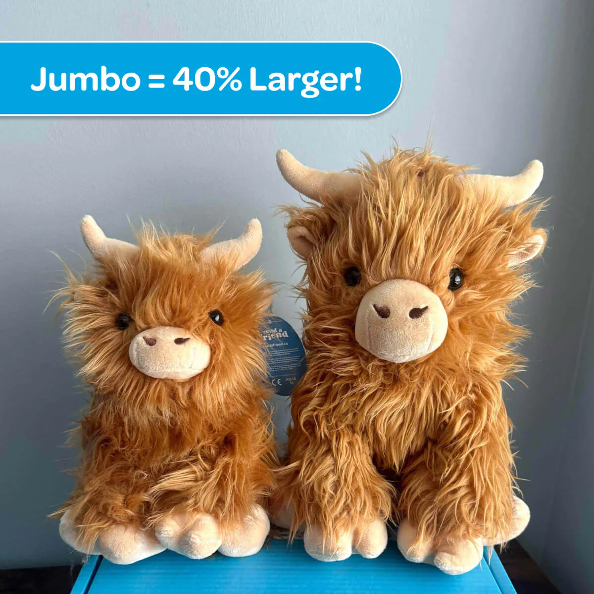 Helena the Jumbo Highland Cow 🏔️🐮 - Image 7