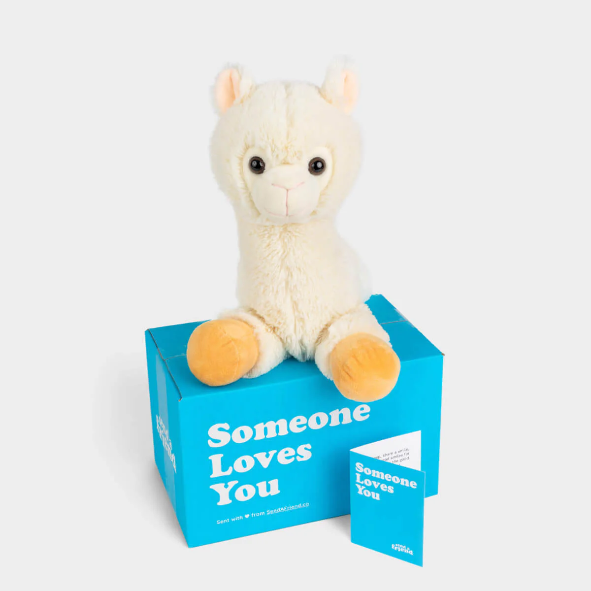 Lawrence the Llama ๐ฆ