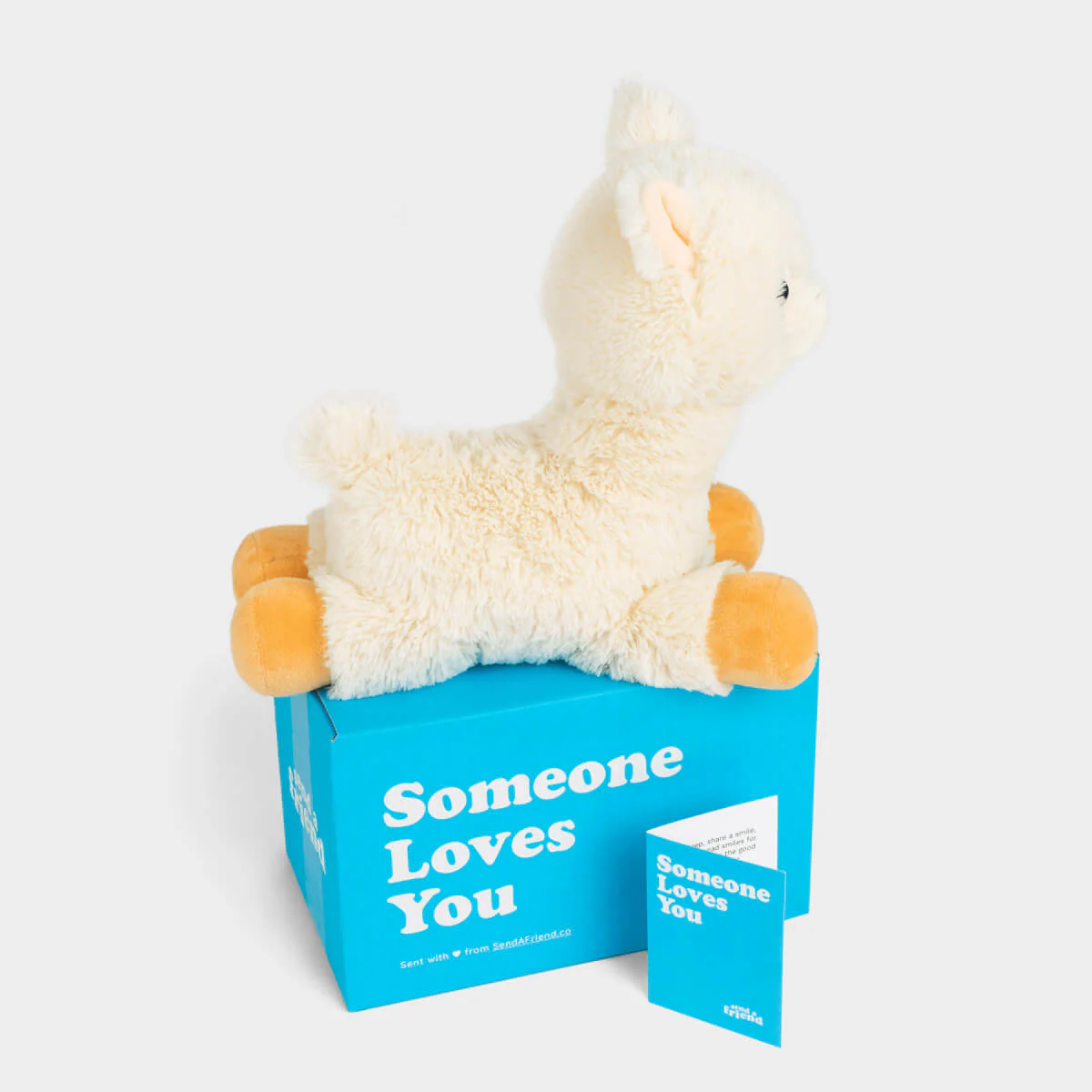 Lawrence the Llama ๐ฆ - Image 2