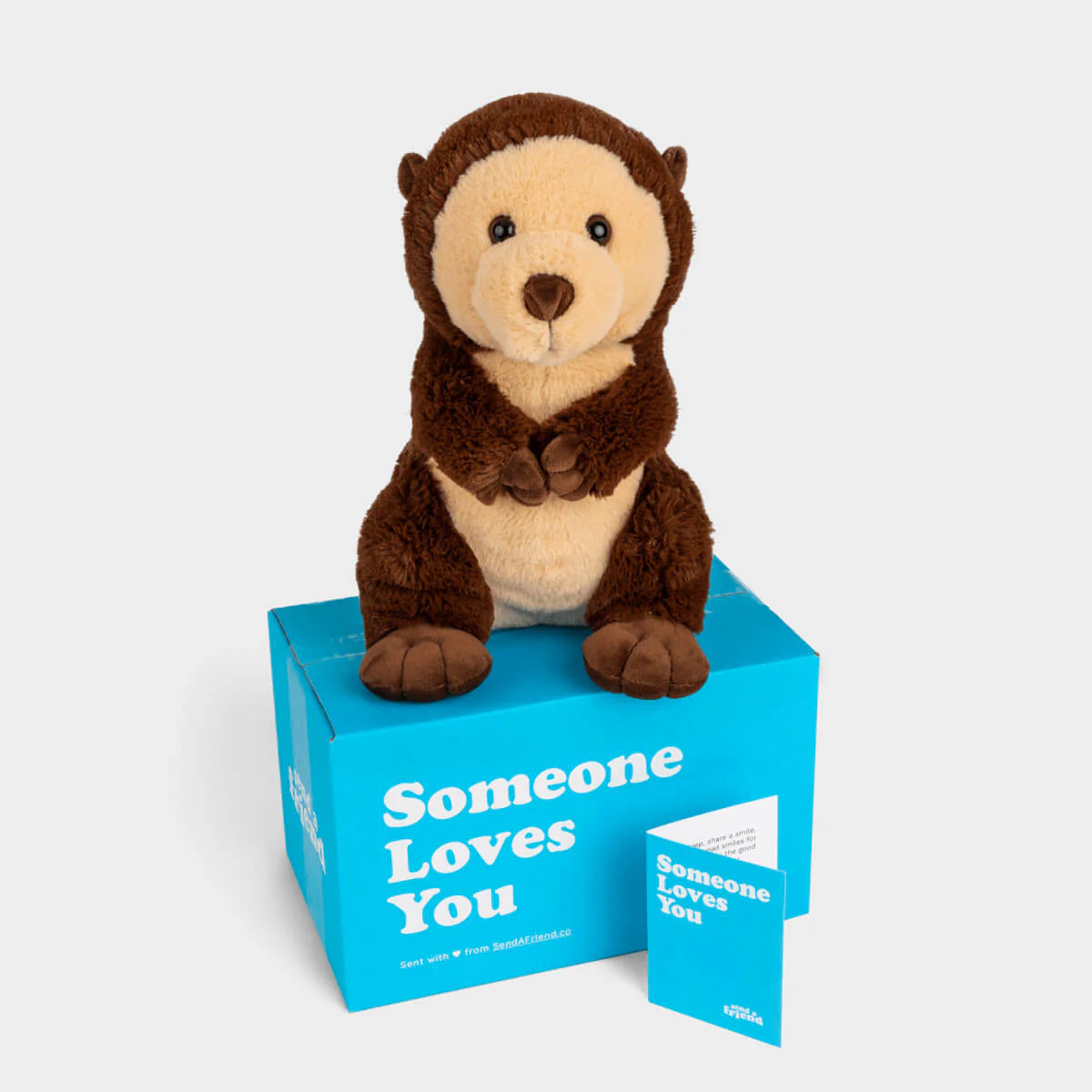Oliver the Otter ๐ฆฆ