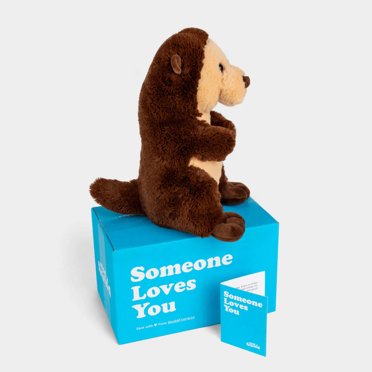 Oliver the Otter ๐ฆฆ - Image 2