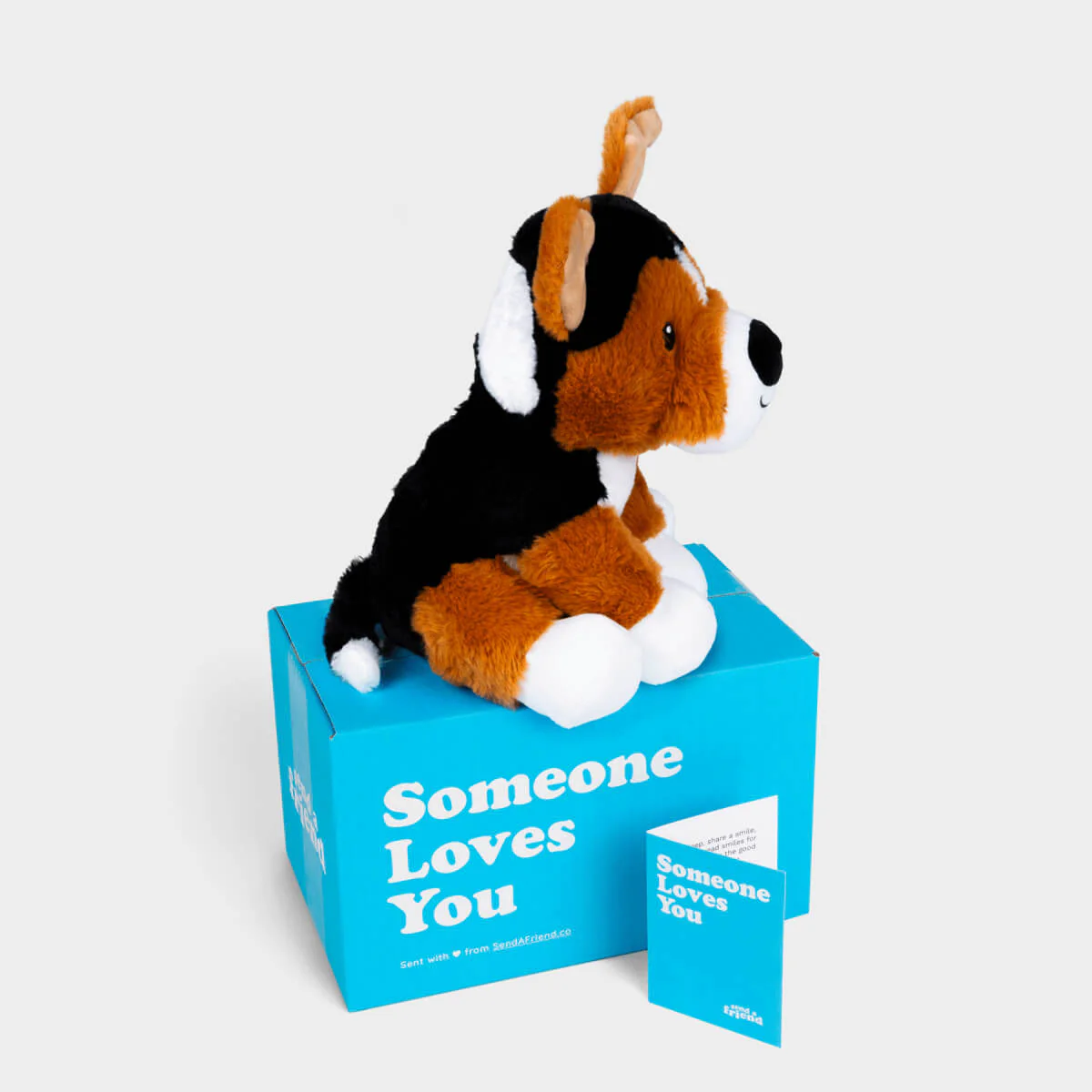 Roscoe the Rescue 🐕 - Image 2