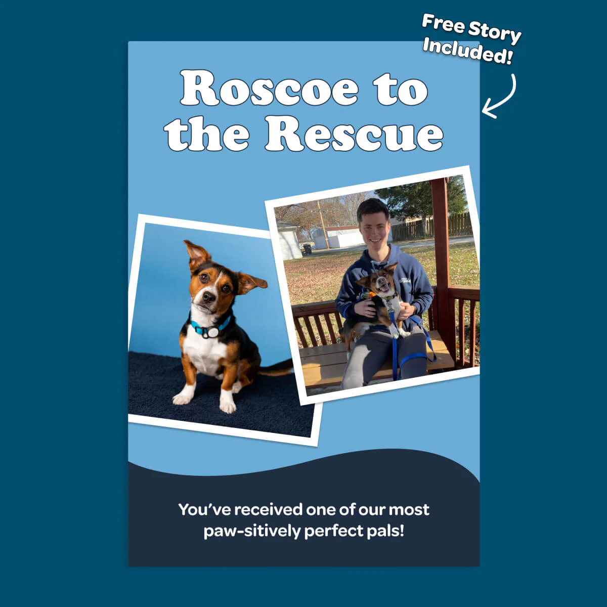 Roscoe the Rescue 🐕 - Image 3