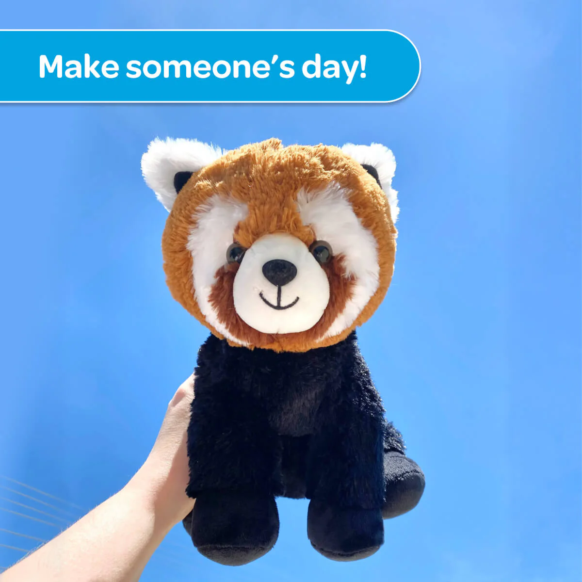 Rusty the Red Panda ❤️ - Image 8
