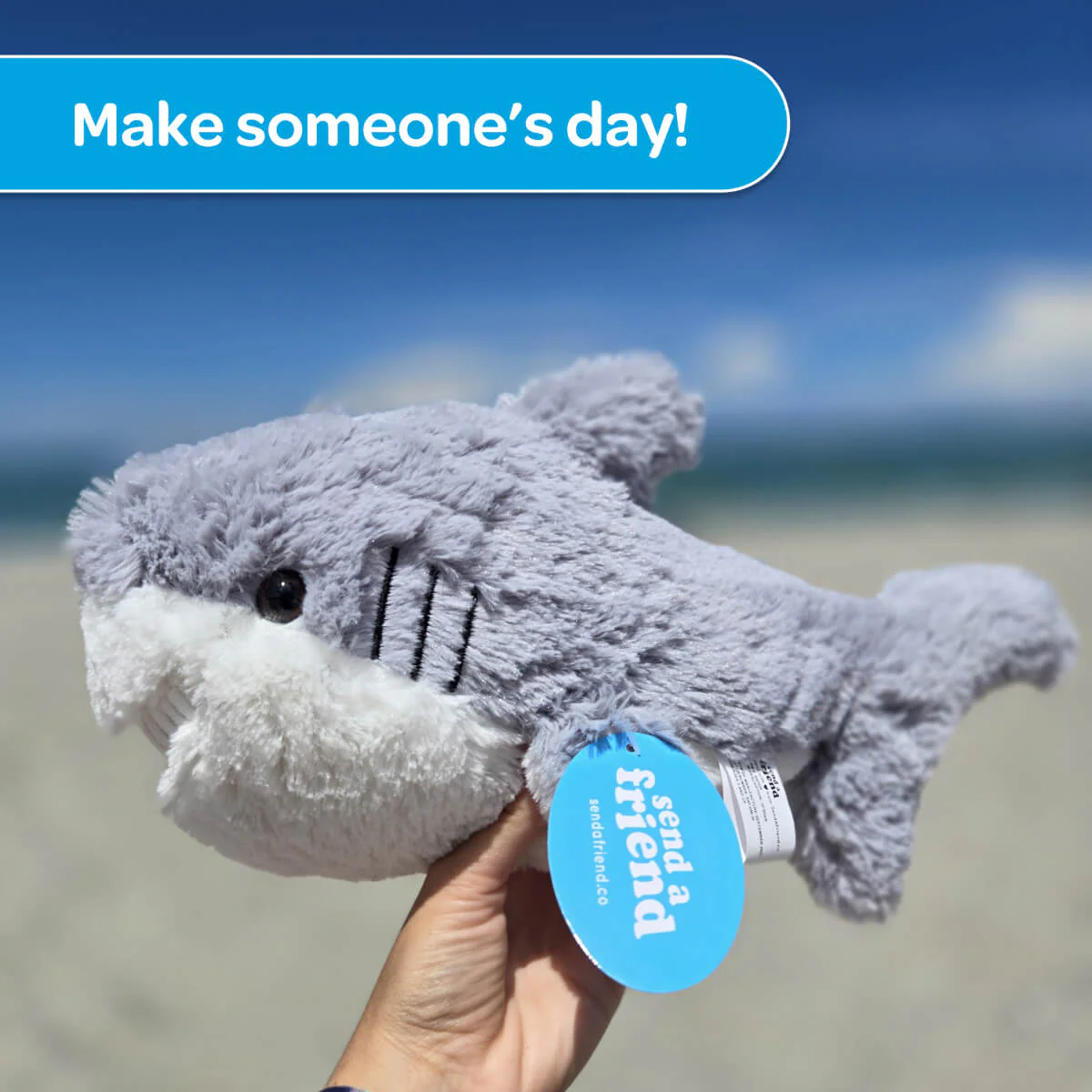 Scooter the Shark 🦈 - Image 8