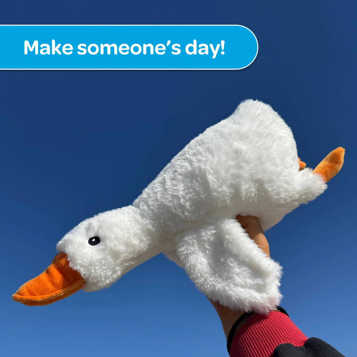 Silas the Silly Goose ๐ชฟ - Image 8